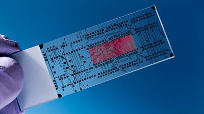 Photo of a lab-on-a-chip.