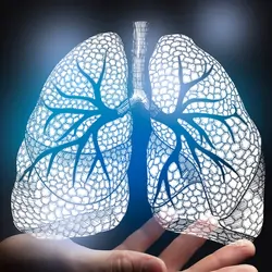 Person holding a holographic image of a pair of human lungs on a black background