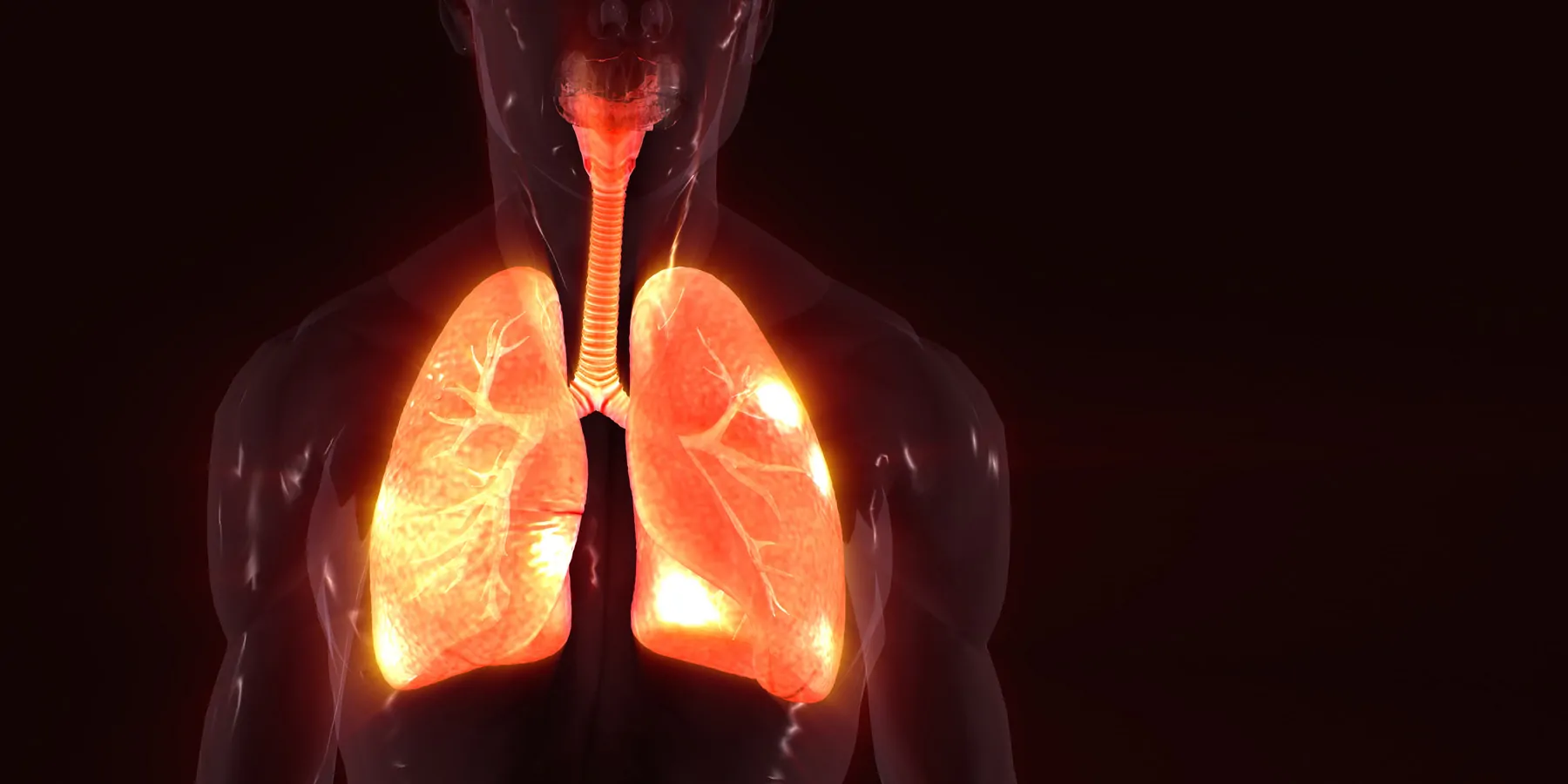 Human lungs with glowing orange spots on a black background