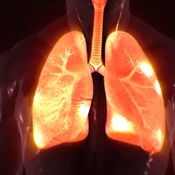 Human lungs with glowing orange spots on a black background