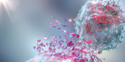 3D rendering of immune responses during cancer therapy.