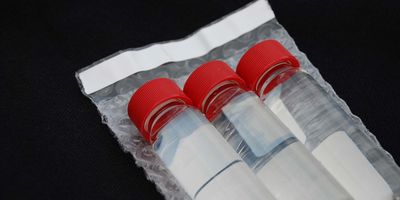 Photo of SARS-CoV-2 wastewater samples.