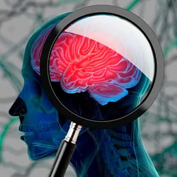 Computer image of a human brain with a magnifying glass held to it