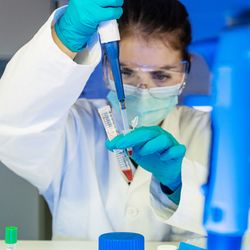 Photograph of a researcher handling patient samples prior to performing a diagnostic PCR test.