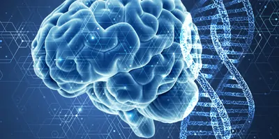 Digital representation of a human brain next to DNA strands on a blue background