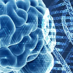 Digital representation of a human brain next to DNA strands on a blue background