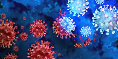 Computer image of a red virus turning into a different, blue virus