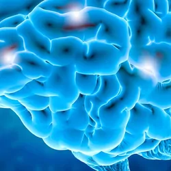 A computer model of a human brain in blue with highlighted spots to indicate damage