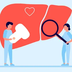 Vector graphic of medical professionals around a liver examining it
