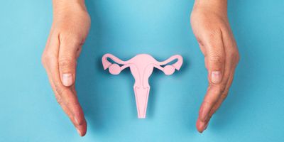 Woman's hands around a paper cut out of female reproductive organs
