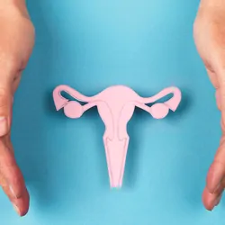 Woman's hands around a paper cut out of female reproductive organs