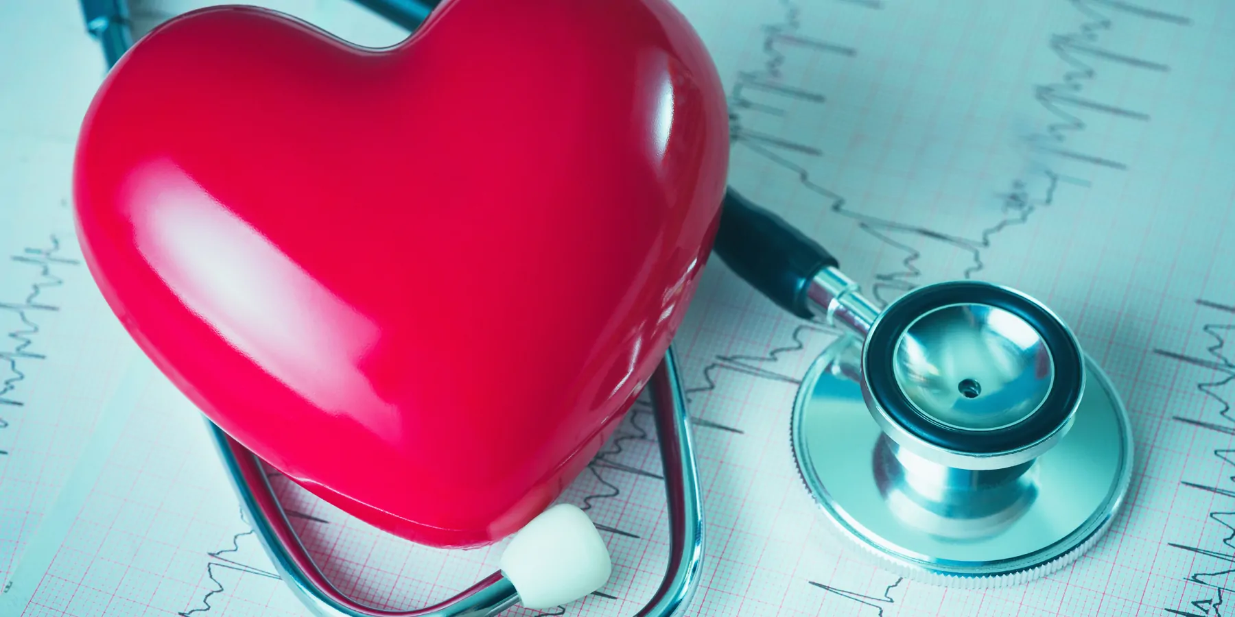 A plastic hear lying next to a stethoscope and a heart rate read out