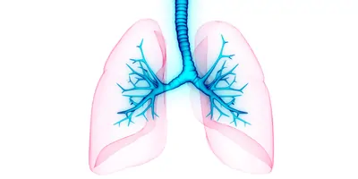 Compter image of human lungs