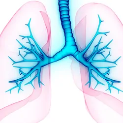 Compter image of human lungs