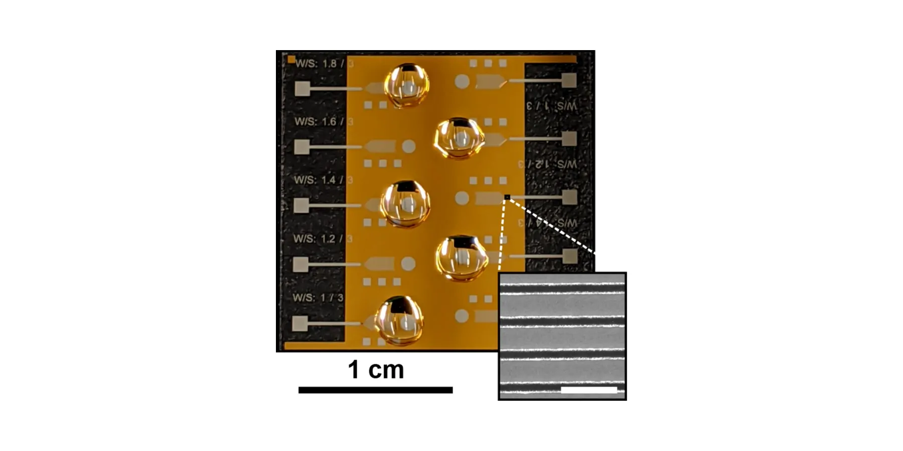 Smartphone-Powered Microchip for At-Home Medical Diagnostic Testing New microfluidic chip for diagnosing diseases on a white background