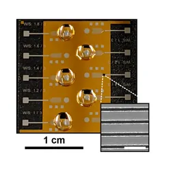 New microfluidic chip for diagnosing diseases on a white background