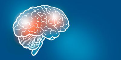 Drawing of a human brain on a blue background with certain areas highlighted