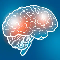 Drawing of a human brain on a blue background with certain areas highlighted