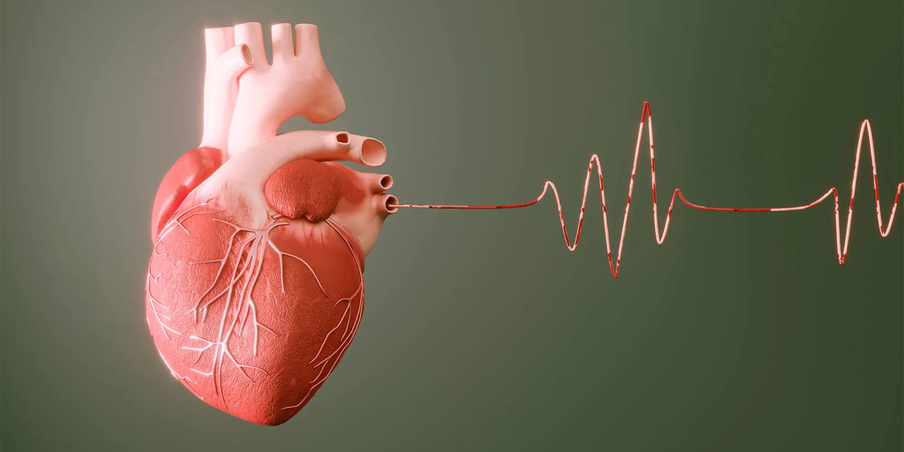 Human heart on a green background with a thread coming off it that makes a heart beat wave