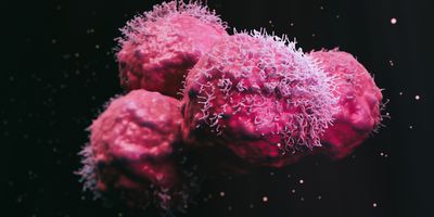 Cancer cells on a black background