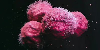 Cancer cells on a black background