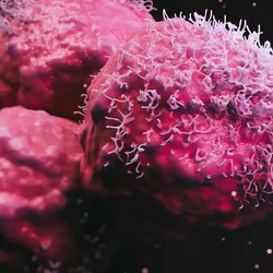 Cancer cells on a black background