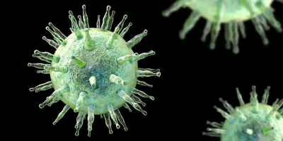 Green computer generated images of the Epstein-Barr virus on a black background