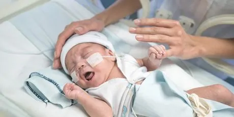 Blood Adenosine Levels as a Potential Biomarker of White Matter Disease Premature baby in an incubator crying while adult comforts them