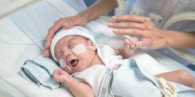 Premature baby in an incubator crying while adult comforts them