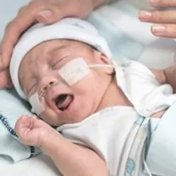 Premature baby in an incubator crying while adult comforts them