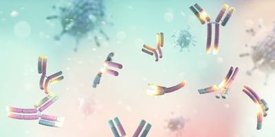 Computer image of monoclonal antibodies floating in solution