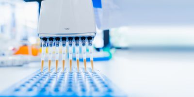 Photo of a multi-channel pipette in a clinical lab.