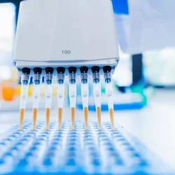 Photo of a multi-channel pipette in a clinical lab.