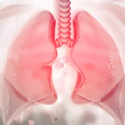 Computer image of 3D human lungs on a light pink background