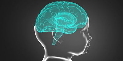 Computer image of a child's brain on a dark background