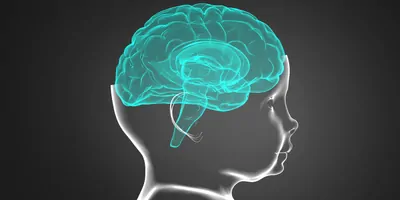 Computer image of a child's brain on a dark background