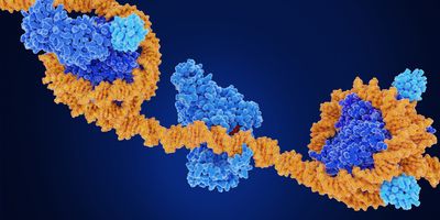 Computer image of DNA folding around proteins