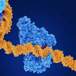 Computer image of DNA folding around proteins