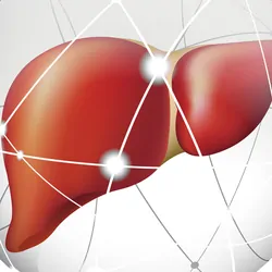 A computer image of a human liver in a protective bubble on a grey background