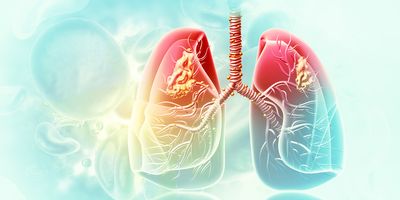 Computer image of human lungs on a teal background