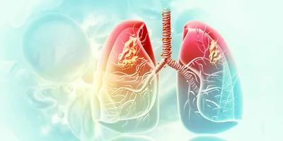 Computer image of human lungs on a teal background
