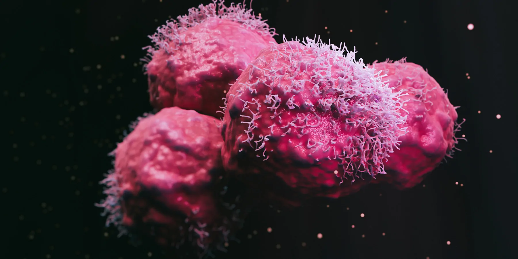 Computer image of pink cancer cells on a black background