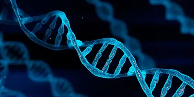 Computer image of a DNA strand tinted blue