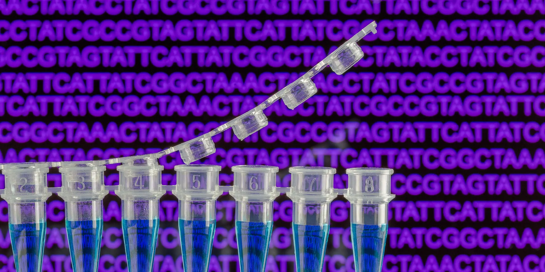 Photo of a digital droplet PCR tube against a purple background.