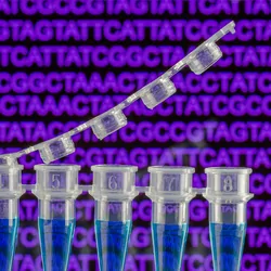 Photo of a digital droplet PCR tube against a purple background.