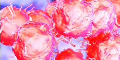 High quality StemFit Purotein® recombinant proteins have been selected for their key roles in differentiating stem cells into liver, pancreas, kidney, heart, blood, and immune cells.