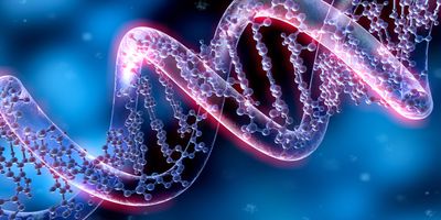 Computer image of a DNA helix on a blue background