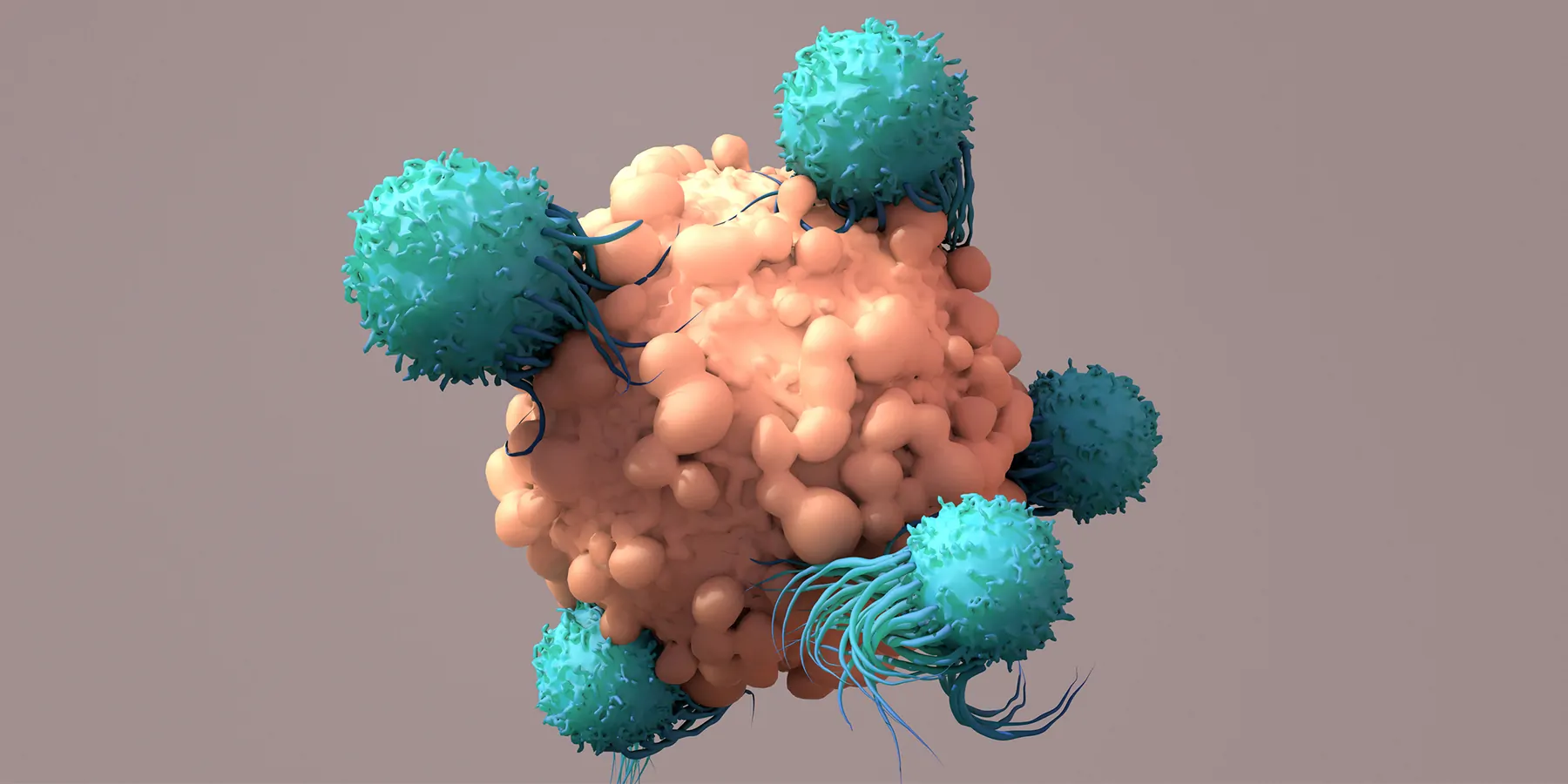 Computer render of white cells attacking a cancer cell
