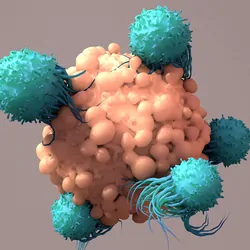 Computer render of white cells attacking a cancer cell