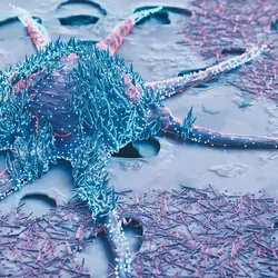 3d rendered image, abstract enhanced scanning electron micrograph (SEM) of cancer malignant cell